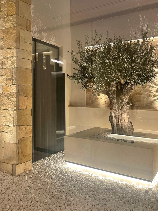 VIVIENDA EN UNA SOLA PLANTA