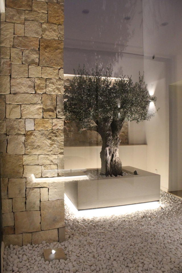 VIVIENDA EN UNA SOLA PLANTA