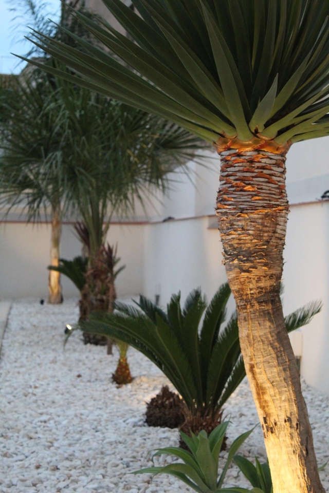 VIVIENDA EN UNA SOLA PLANTA