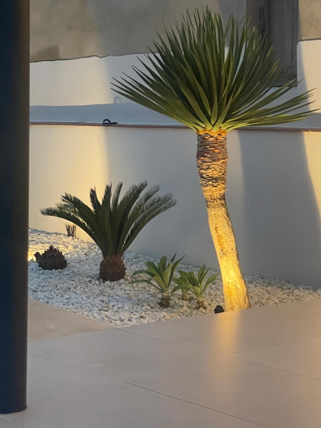 VIVIENDA EN UNA SOLA PLANTA